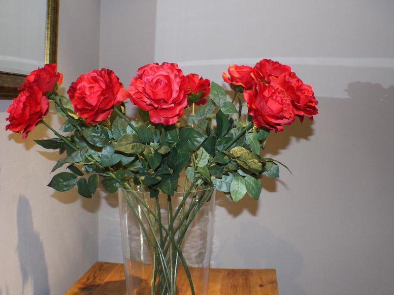 صورة الفندق 16