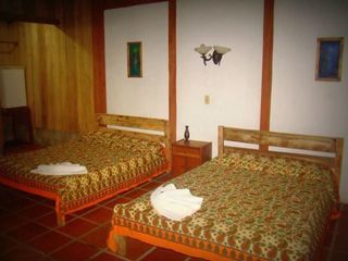 Hotel pic La Gamba Rainforest Lodge