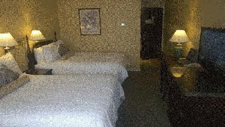 صورة الفندق 20