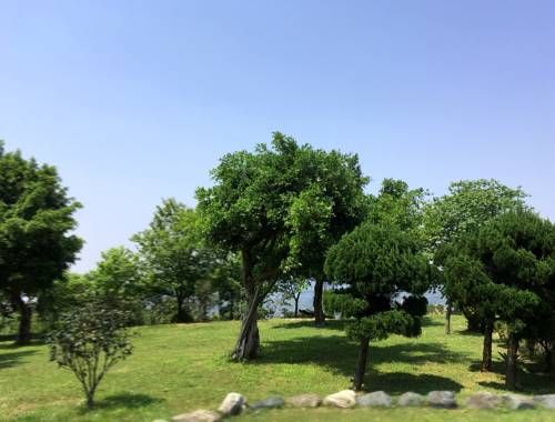 صورة الفندق 19