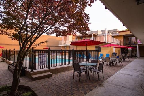 Hotel Photo 16