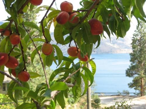 صورة الفندق 19