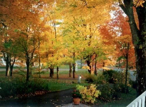 صورة الفندق 10