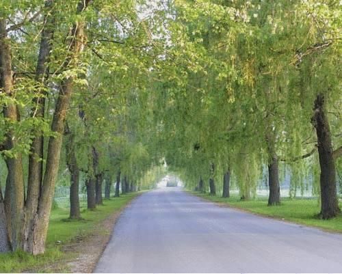 صورة الفندق 21