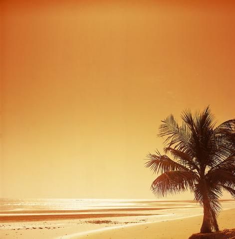 صورة الفندق 18