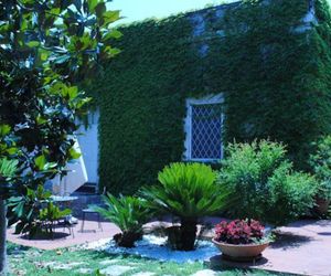 B&B La Magnolia Polignano a Mare Italy