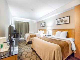 Hotel pic Comfort Inn Moncton East