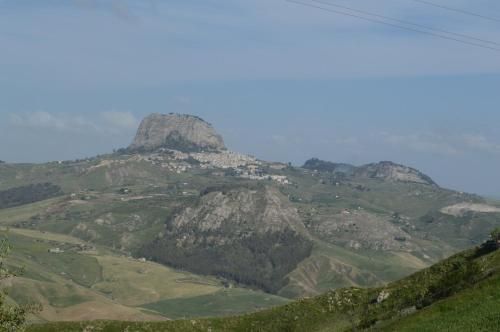 صورة الفندق 11