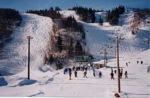 صورة الفندق 24