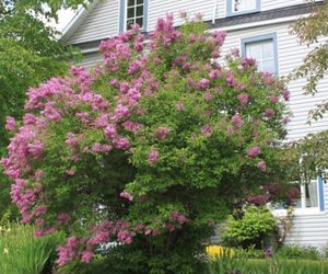 La Maison sous les Lilas La Malbaie Canada