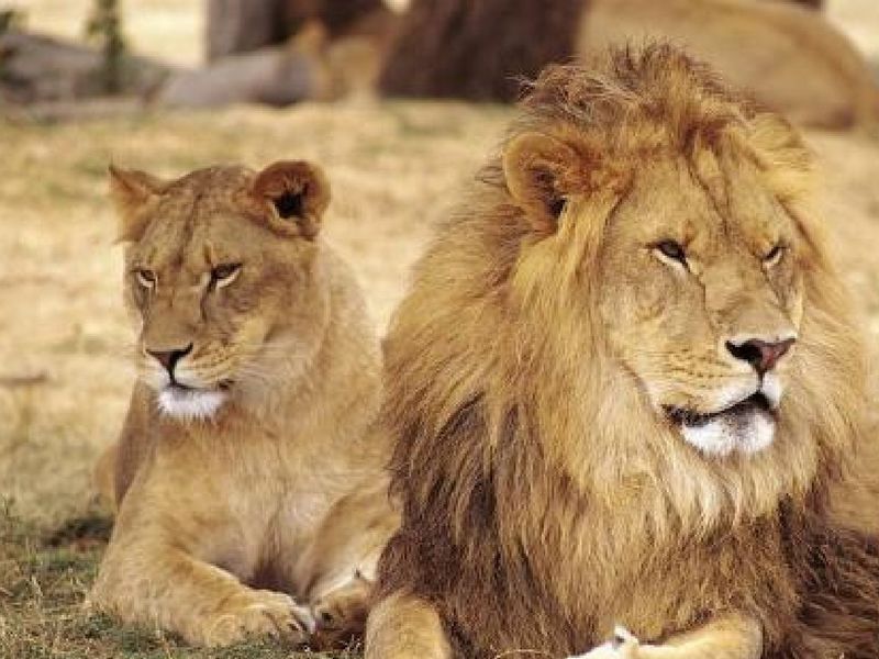 صورة الفندق 19