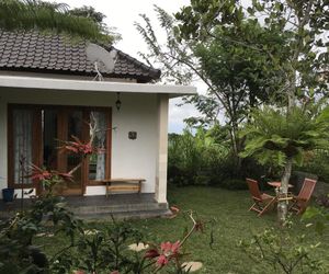 Terrasse du Lac Tamblingan Munduk Indonesia
