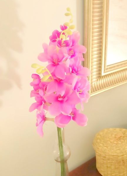 صورة الفندق 16