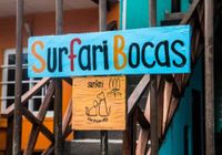 Отзывы Surfari Bocas