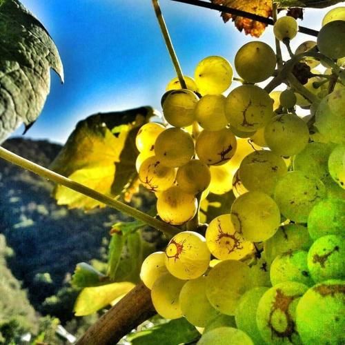 صورة الفندق 10