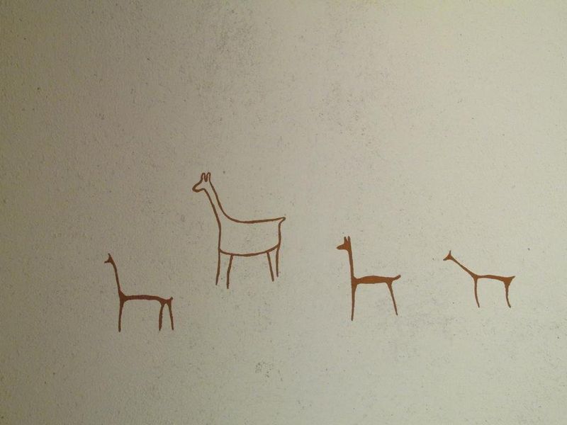 صورة الفندق 14