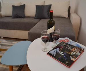 SMP Apartment Timisoara Romania