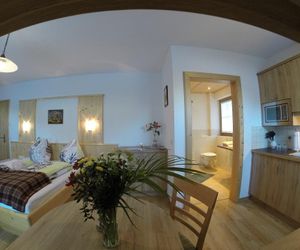 Appartement Greti Rohrmoos Austria