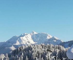 Haus Horngacher Fieberbrunn Austria