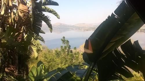 صورة الفندق 22