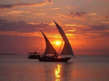 صورة الفندق 22