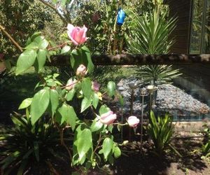 La Frontiere Boutique Accommodation Gisborne New Zealand