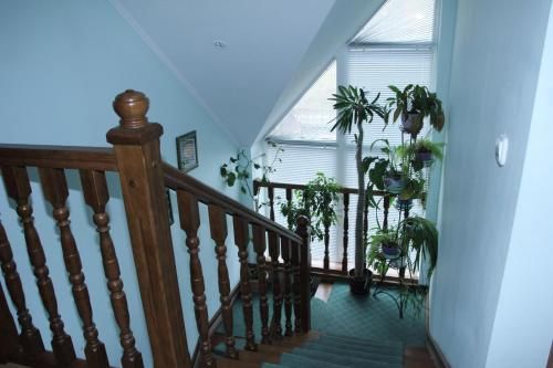 Guesthouse Lugovaya