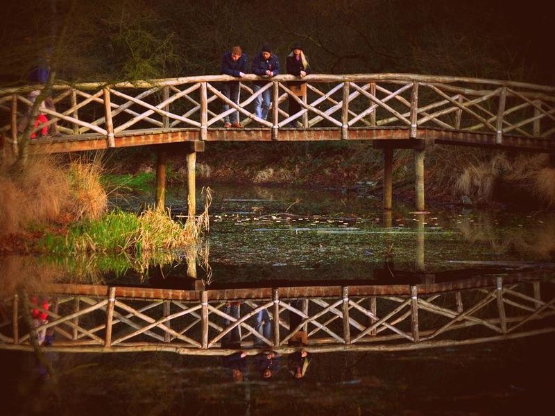 صورة الفندق 12