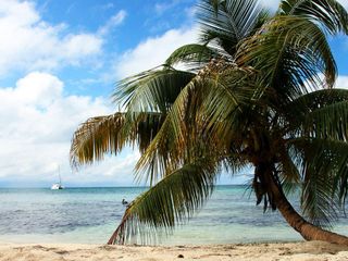 Hotel pic Ranguana Caye Cabanas