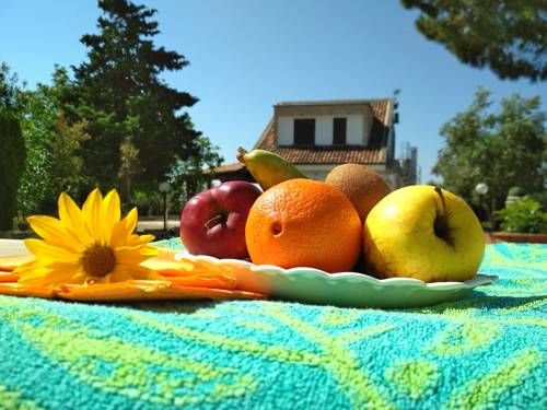 صورة الفندق 17