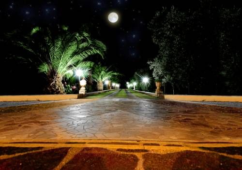 صورة الفندق 21
