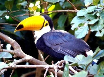 صورة الفندق 15