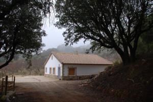 صورة الفندق 10