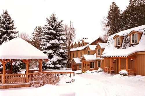صورة الفندق 24
