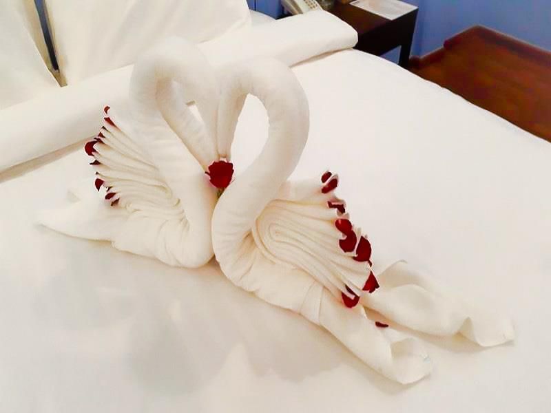 Hotel Photo 15