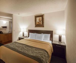 Comfort Inn & Suites Downtown Edmonton Edmonton Canada