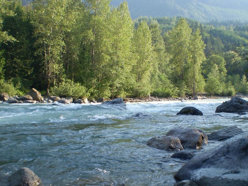 صورة الفندق 13