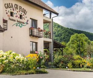Pensiunea Casa cu Flori Cisnadie Romania