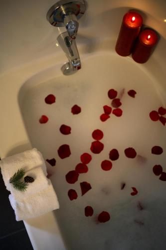 صورة الفندق 6