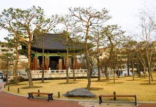 Cheap Flights to Daegu