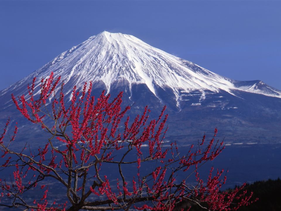 Shizuoka Airport Flights