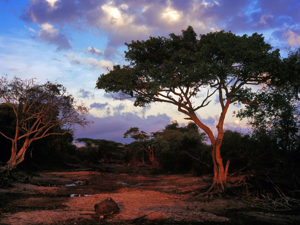 Mtwara Airport Flights