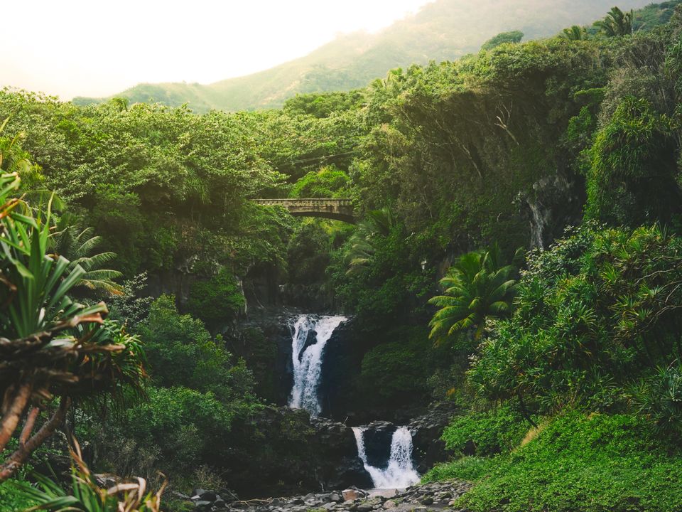 Kahului Airport Flights