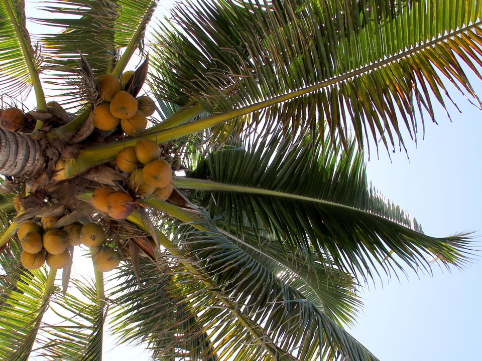 Puerto Barrios Flights