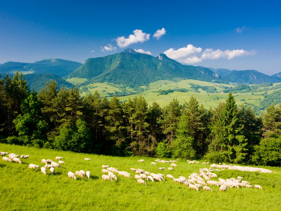Flights to Piestany, Slovakia