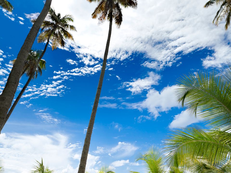 Flights to ROCK SOUND, Bahamas