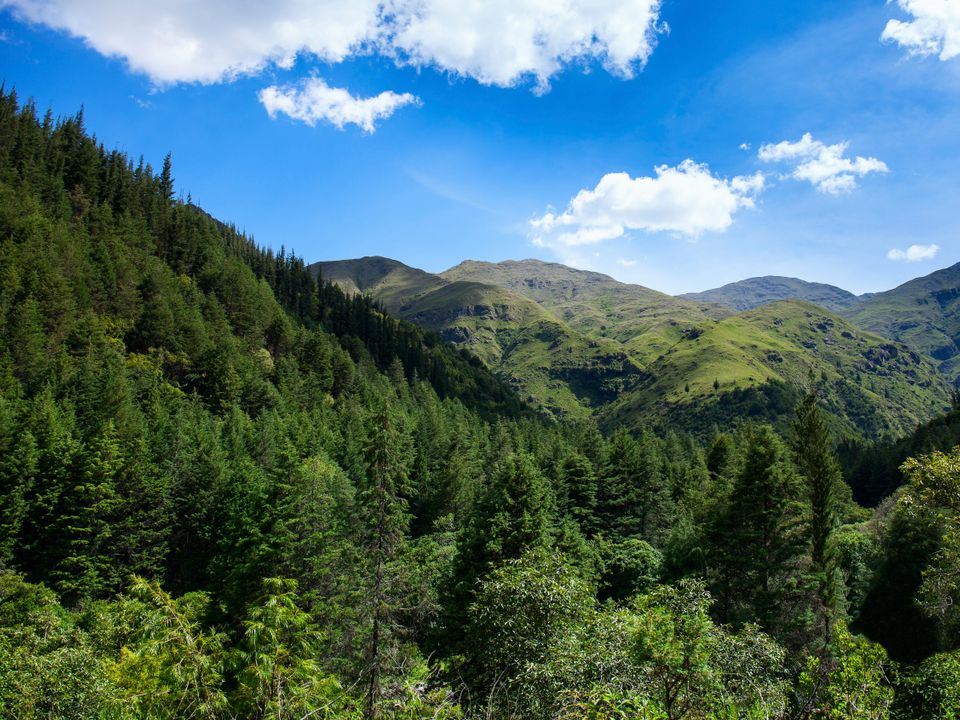 Flights to Tarija, Bolivia