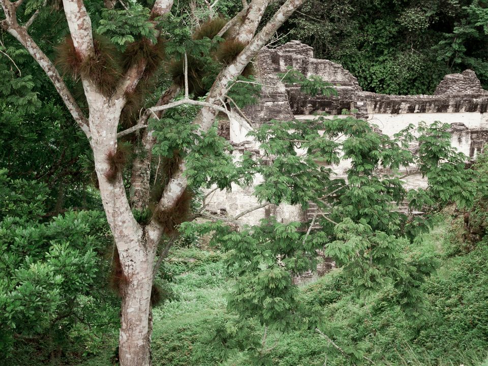 Cheap Flights to Tikal, Guatemala